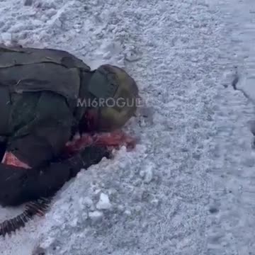 Ukraine Russia War Soliders Corpse's Left To Free In The Snow