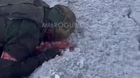 Ukraine Russia War Soliders Corpse's Left To Free In The Snow