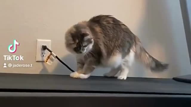 Graceful