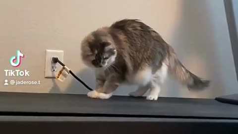Graceful