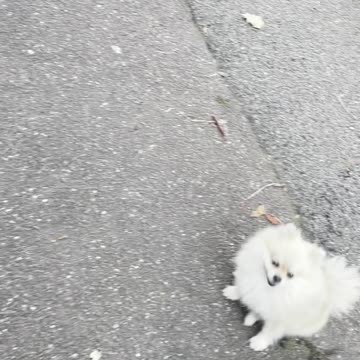 Geo Caching with Crypto Wallets