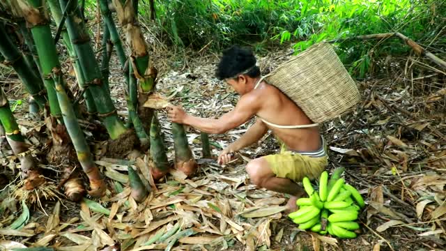 survival in the rainforest find - BAMBOO SHOOTS BANANAS WITH DUCK