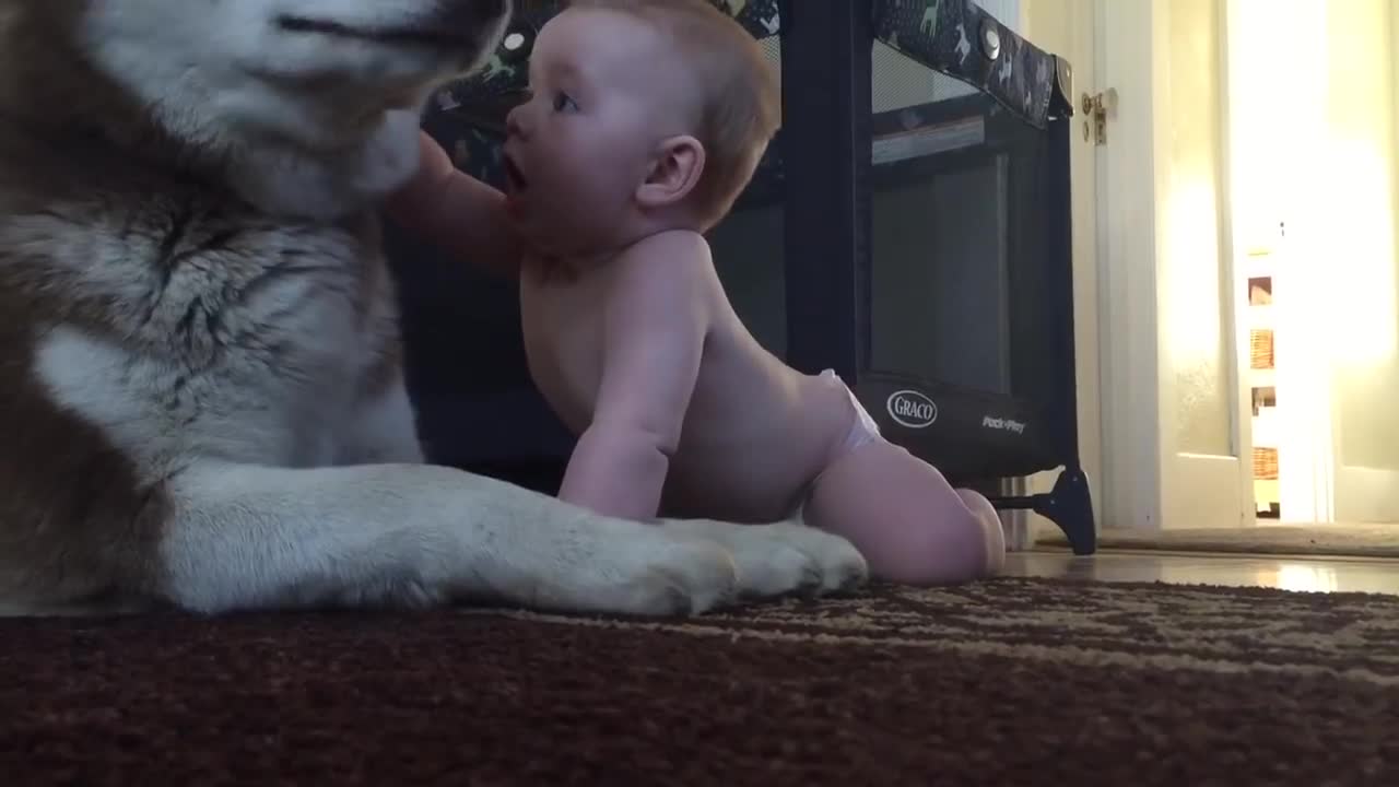 Baby and dog show love for one another