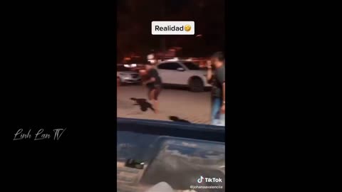 Funniest Video Recorded