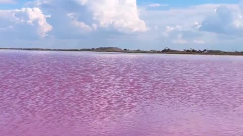 pink lake