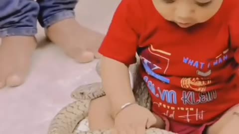 the snake Playing with snakes. snake game