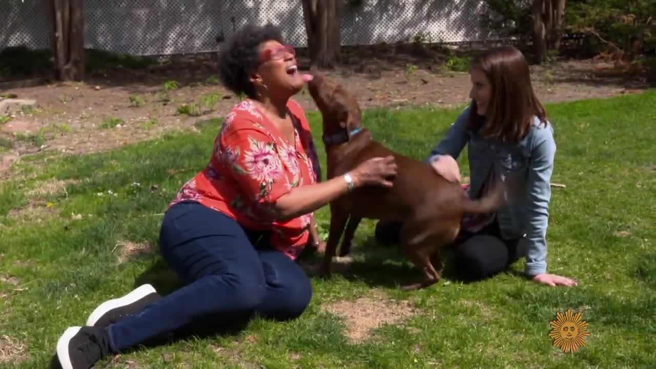 Meet Stella, the dog that talks