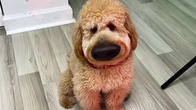 El mejor filtro hasta ahora