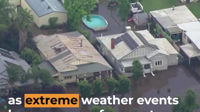 Dramatic rescues as Australia is hit with more floods _ Al Jazeera Newsfeed