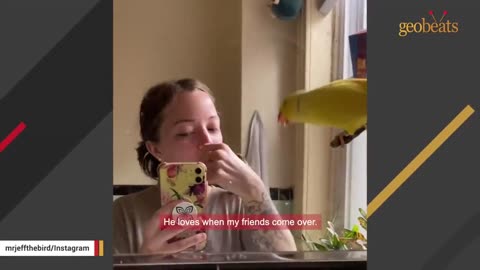 parrot turns out to be a boy