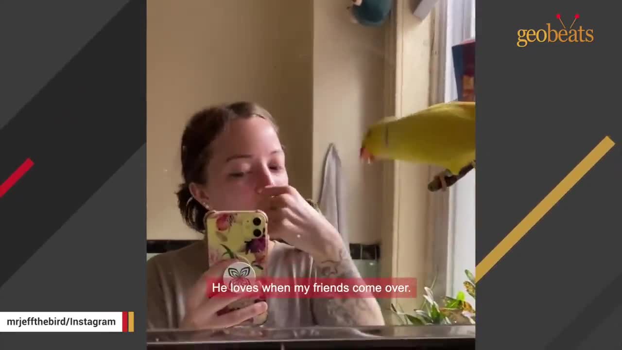 parrot turns out to be a boy