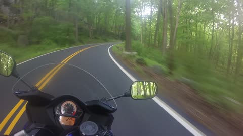 Close Call with a Deer While Riding