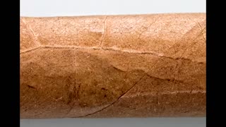 Vega Fina Toro Cigar Review