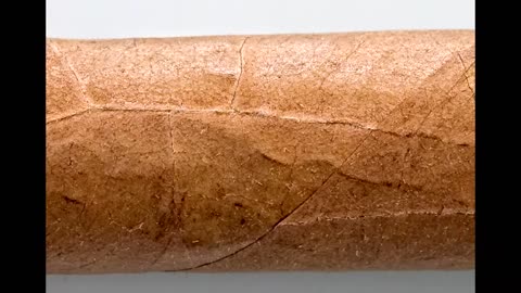 Vega Fina Toro Cigar Review