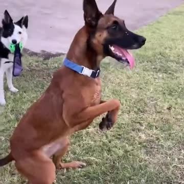 prepping for the countdown