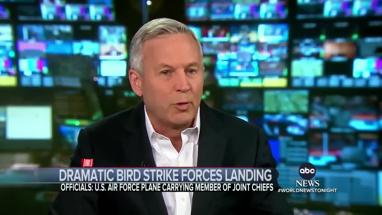 Bird strike forces emergency landing of US Air Force plane