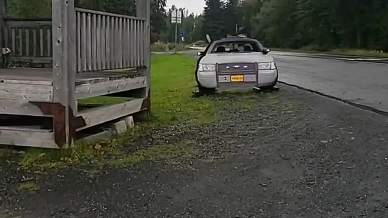 Moose Pass Alaska tour