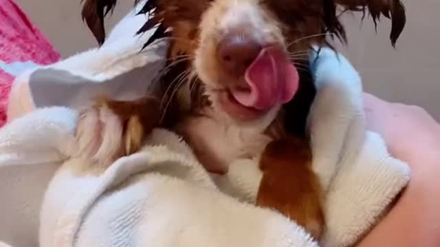 Not a fan of bath time...