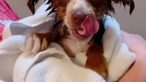 Not a fan of bath time...