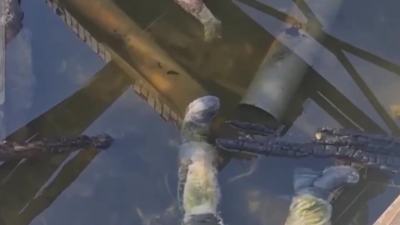 Ukraine war warning graphic scenes