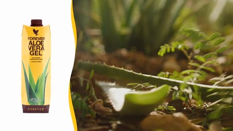 FOREVER LIVING ALOE VERA GEL