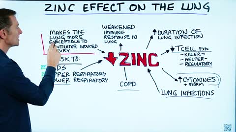 DrBerg-Zinc Effects Your Respiratory System