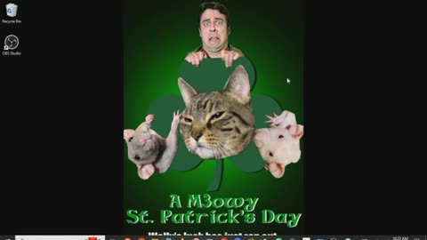 A Meowy St. Patrick's Day Review