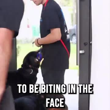 Biting Isn’t Cute ft. Josh Hart