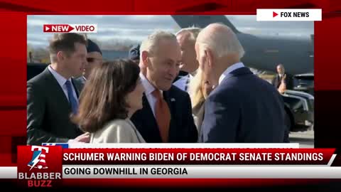 Schumer Warning Biden Of Democrat Senate Standings