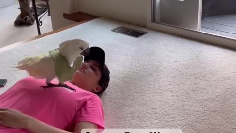 It.s impossible to do anything with a parrot around.