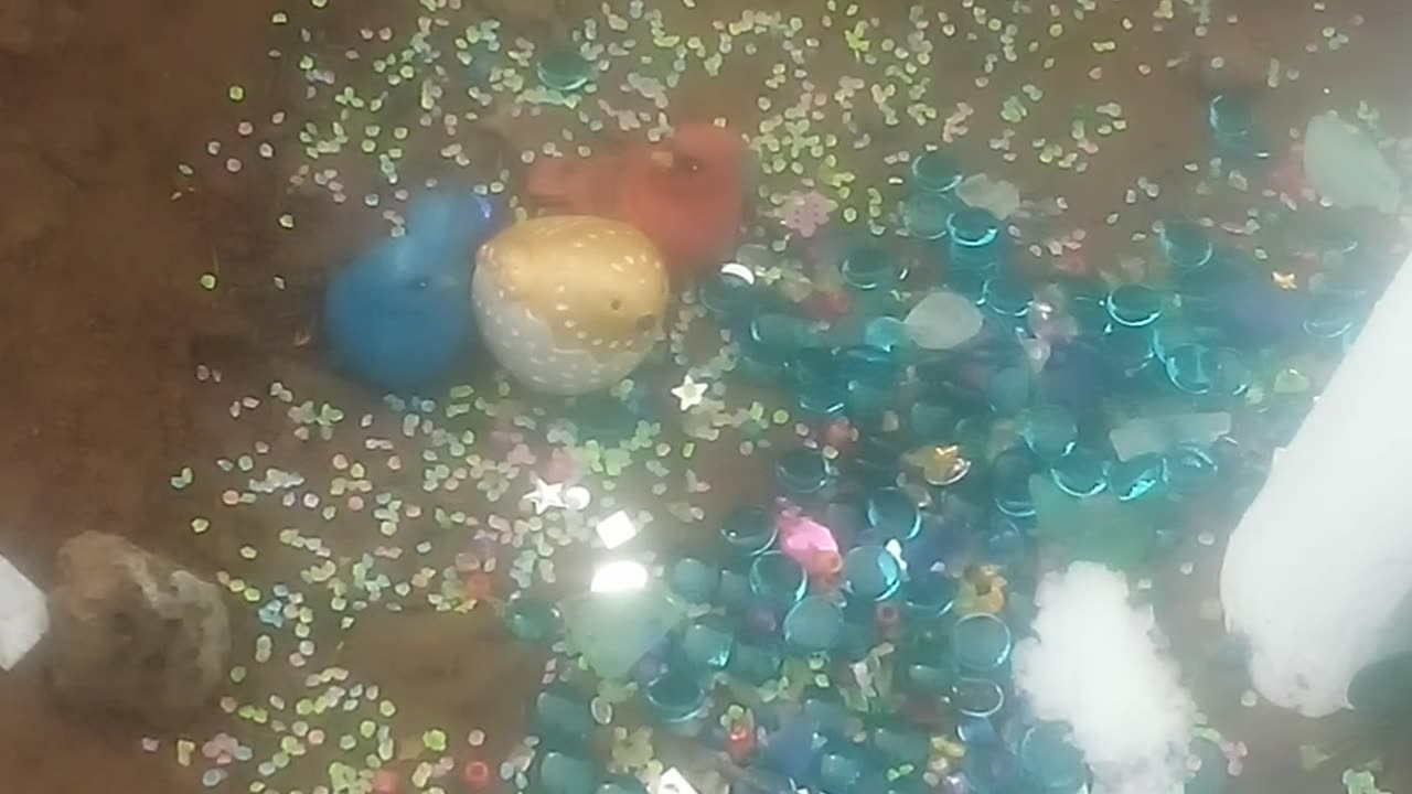 February/4/2024 Video 2