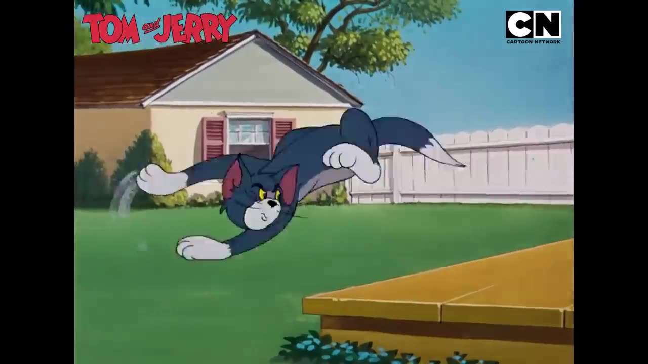 Tom _ Jerry 😺🐭_ The Ultimate Cat _ Mouse Chaos! 😺🐭_ Funny Cartoon