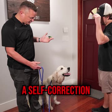 How to Get Your Dog to Stop Jumping on Guests at the Door