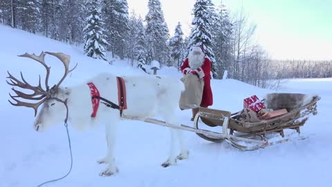 Christmas Santa