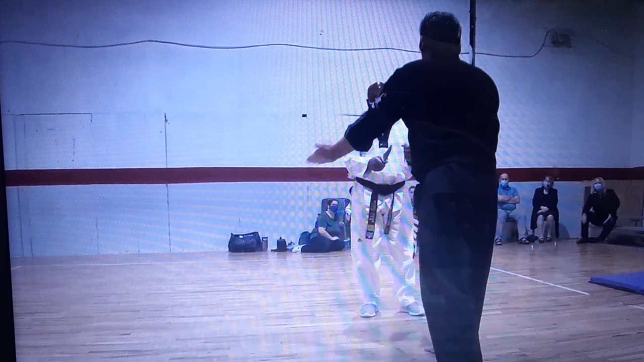 Grand Master Laino & Master Graham Demonstration