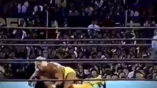 For Those Who Say Hogan Can't Wrestle