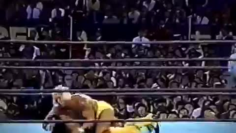 For Those Who Say Hogan Can't Wrestle