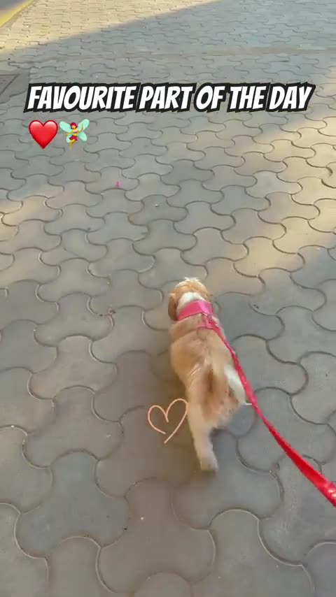 "Blood Pressure 911: Natural Supplement for Healthy Blood Pressure Support" BUY NOW AND SAVE