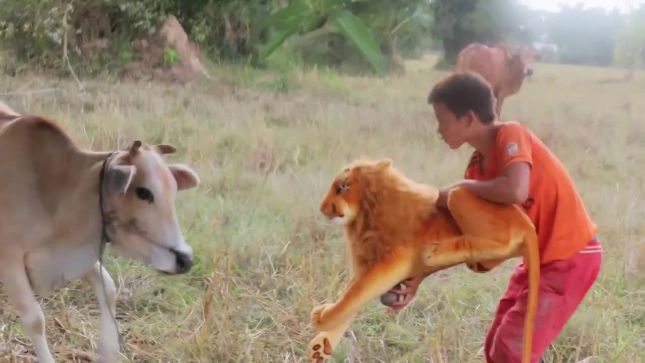 YUDHAMUHAMAD animal vs lion prank