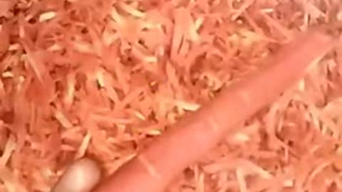 esinri fryi