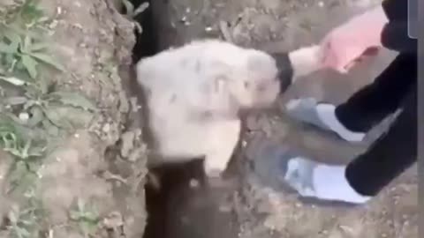 People hiding from facts be like...