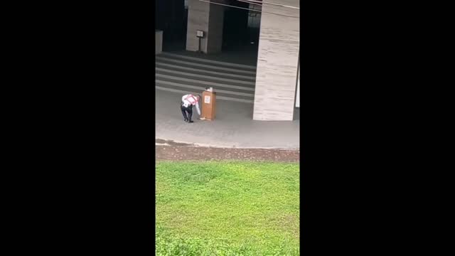 Playful kitten having time to play with the Security Guard πΊπΊππ