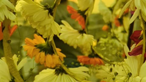 Flower fair