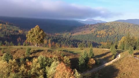 Enchanting Autumn Forests with Beautiful Piano Music