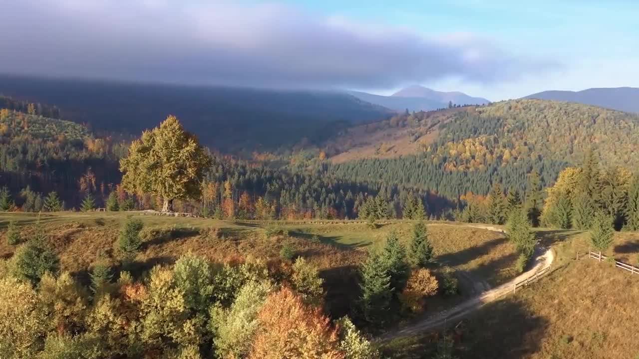 Enchanting Autumn Forests with Beautiful Piano Music