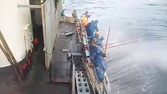 Best fishing