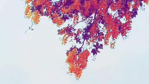 Colour grading photography