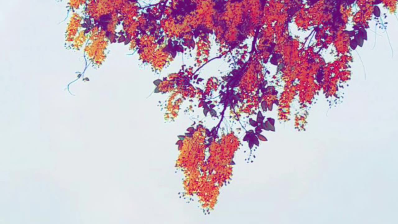 Colour grading photography