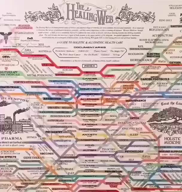The Healing Web
