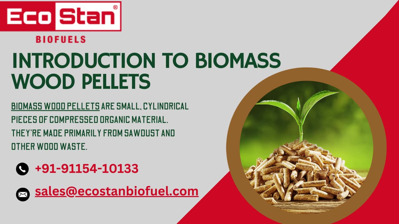 Biomass Wood Pellets: A Sustainable Energy Solution